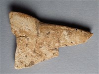 藏品(甲骨殘片)的圖片