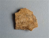 藏品(甲骨殘片)的圖片