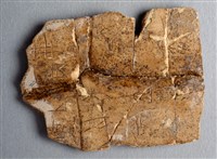 藏品(甲骨殘片)的圖片