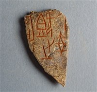 藏品(甲骨殘片)的圖片