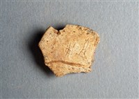 藏品(甲骨殘片)的圖片