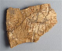 藏品(甲骨殘片)的圖片