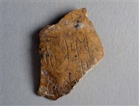 藏品(甲骨殘片)的圖片