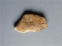 藏品(甲骨殘片)的圖片