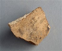 藏品(甲骨殘片)的圖片