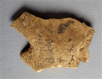 藏品(甲骨殘片)的圖片