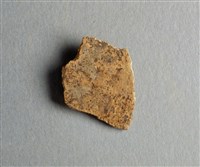 藏品(甲骨殘片)的圖片