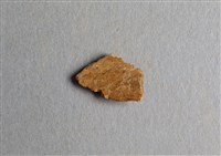 藏品(甲骨殘片)的圖片