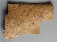 藏品(甲骨殘片)的圖片