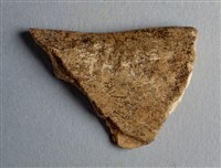 藏品(甲骨殘片)的圖片