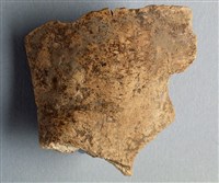 藏品(甲骨殘片)的圖片