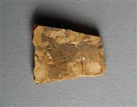 藏品(甲骨殘片)的圖片