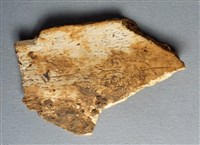 藏品(甲骨殘片)的圖片