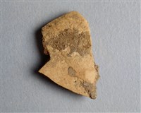 藏品(甲骨殘片)的圖片