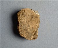 藏品(甲骨殘片)的圖片