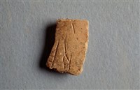 藏品(甲骨殘片)的圖片