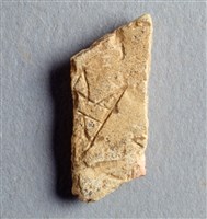 藏品(甲骨殘片)的圖片