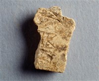 藏品(甲骨殘片)的圖片