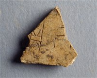 藏品(甲骨殘片)的圖片