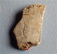 藏品(甲骨殘片)的圖片