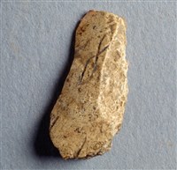 藏品(甲骨殘片)的圖片