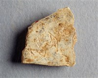 藏品(甲骨殘片)的圖片