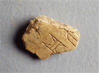 藏品(甲骨殘片)的圖片