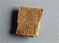 藏品(甲骨殘片)的圖片