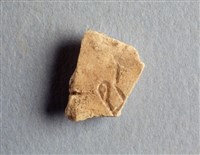 藏品(甲骨殘片)的圖片