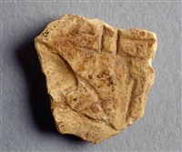 藏品(甲骨殘片)的圖片