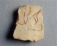 藏品(甲骨殘片)的圖片