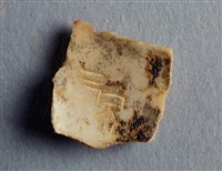 藏品(甲骨殘片)的圖片