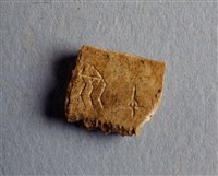 藏品(甲骨殘片)的圖片