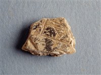 藏品(甲骨殘片)的圖片