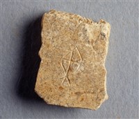 藏品(甲骨殘片)的圖片