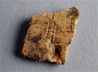 藏品(甲骨殘片)的圖片