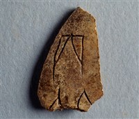 藏品(甲骨殘片)的圖片