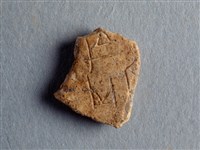 藏品(甲骨殘片)的圖片