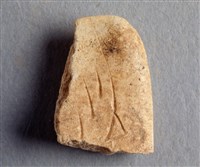 藏品(甲骨殘片)的圖片