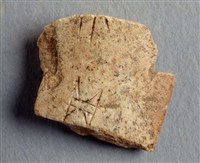 藏品(甲骨殘片)的圖片