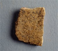 藏品(甲骨殘片)的圖片