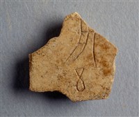 藏品(甲骨殘片)的圖片