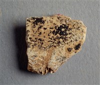 藏品(甲骨殘片)的圖片