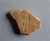 藏品(甲骨殘片)的圖片