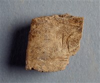 藏品(甲骨殘片)的圖片