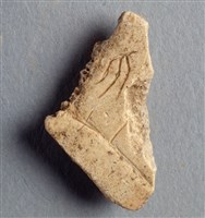 藏品(甲骨殘片)的圖片