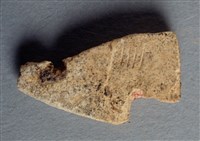 藏品(甲骨殘片)的圖片