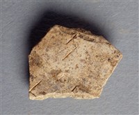 藏品(甲骨殘片)的圖片