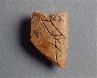 藏品(甲骨殘片)的圖片