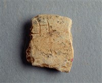 藏品(甲骨殘片)的圖片